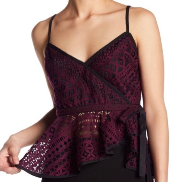 NWT Purple & Black Likely Lace Top - Picture 3 of 6